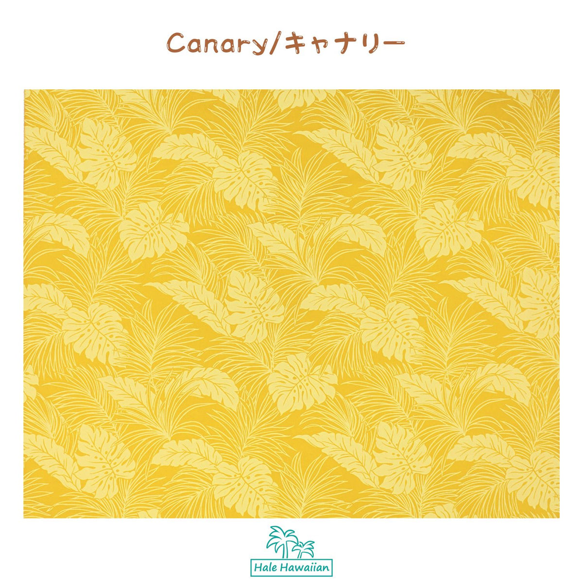 Hawaiian Polycotton Fabric LMH-04-331 [Monstera]