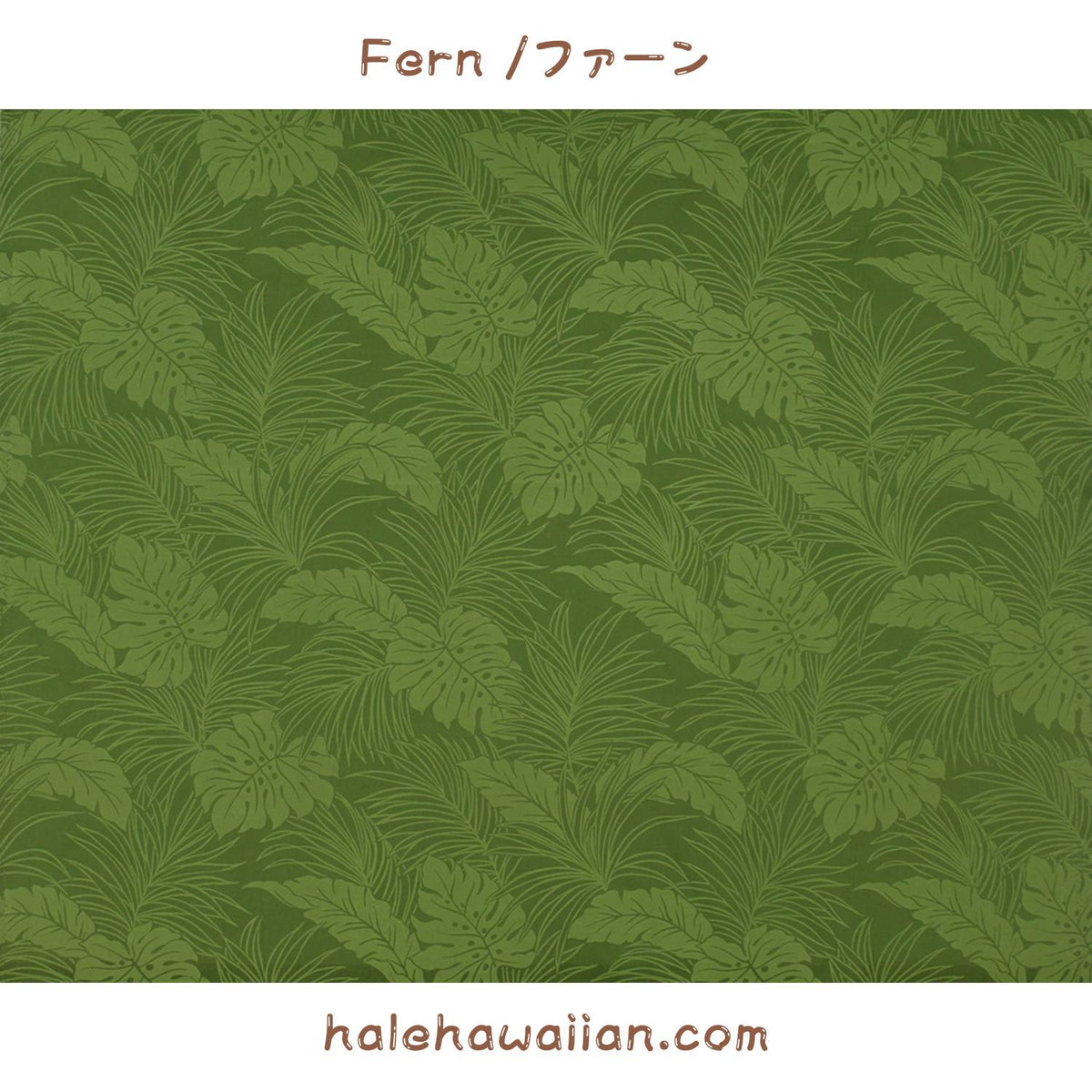 Hawaiian Polycotton Fabric LMH-04-331 [Monstera]