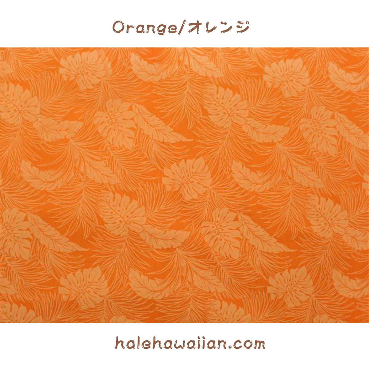 Hawaiian Polycotton Fabric LMH-04-331 [Monstera]