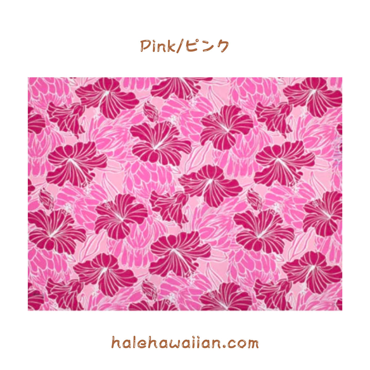 ハワイアン ポリコットン生地 LW-18-679 【ハイビスカス&プロテア】