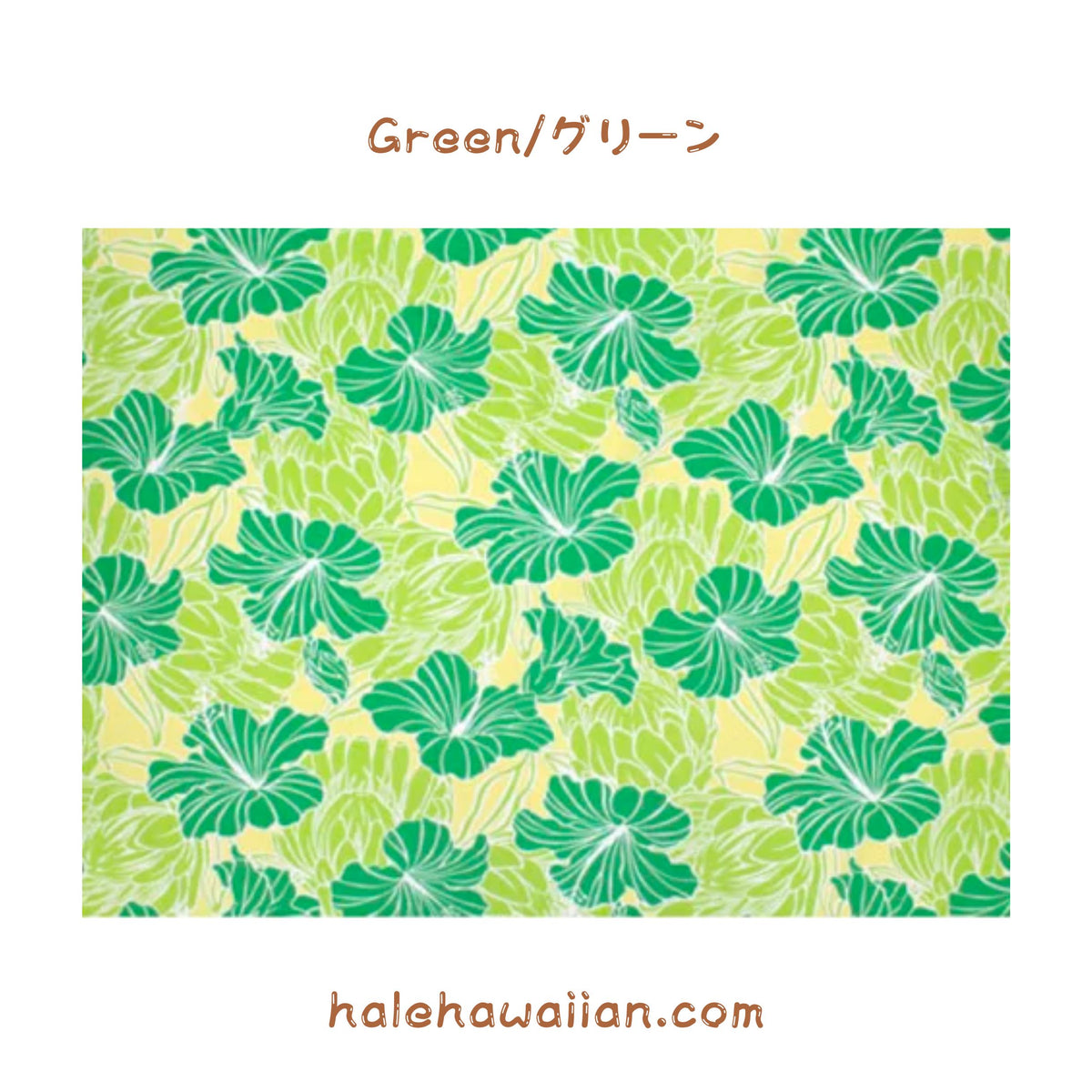 ハワイアン ポリコットン生地 LW-18-679 【ハイビスカス&プロテア】
