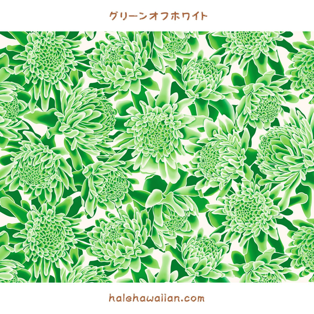 Hawaiian Polycotton Fabric LW-24-936 [Torch Ginger/Protea]