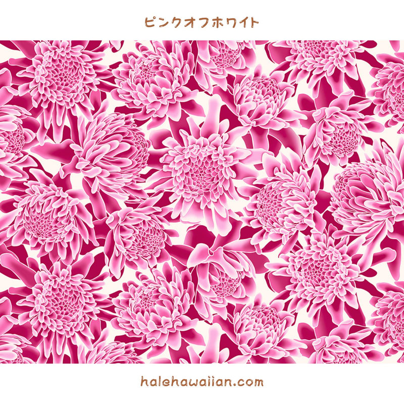 Hawaiian Polycotton Fabric LW-24-936 [Torch Ginger/Protea]