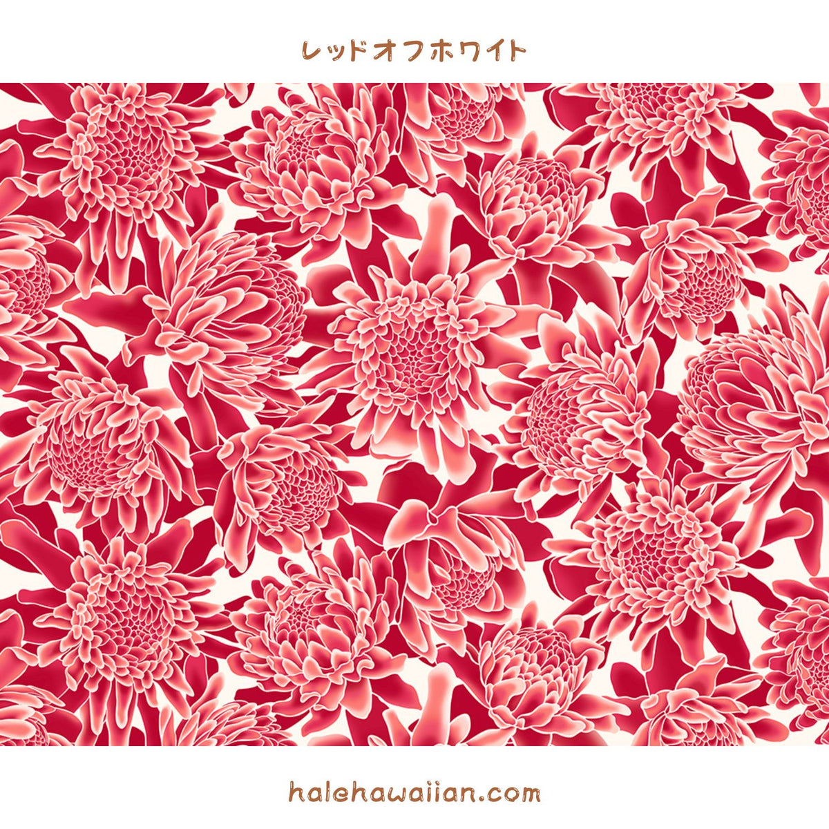 Hawaiian Polycotton Fabric LW-24-936 [Torch Ginger/Protea]