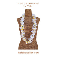 Hawaiian Hula Supplies Flower Lei [Leilani Lei]