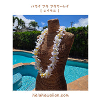 Hawaiian Hula Supplies Flower Lei [Leilani Lei]