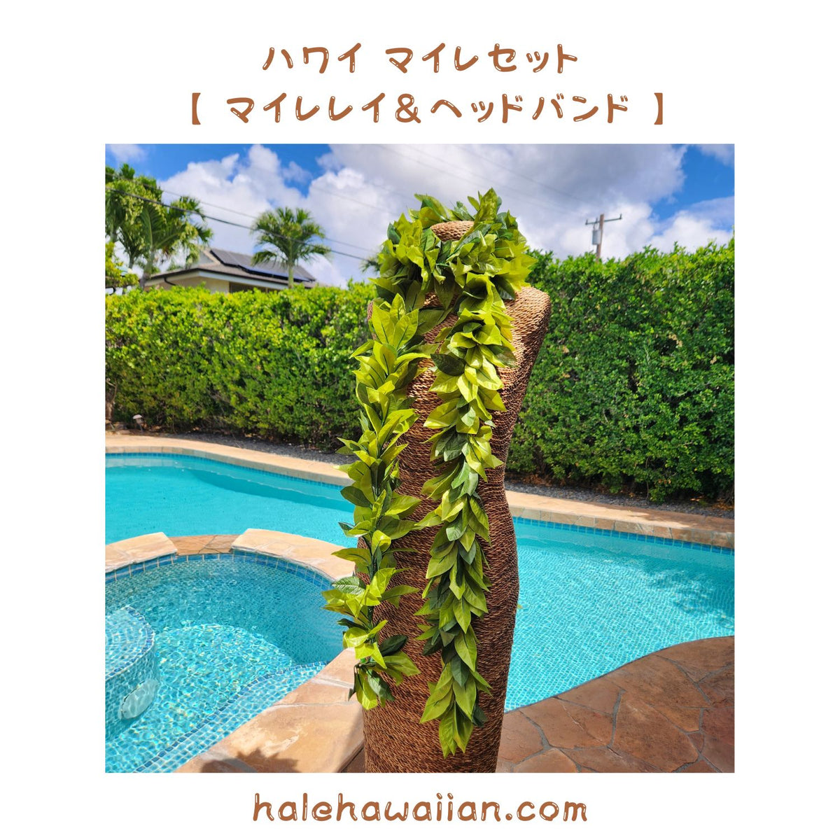 Hawaiian Hula Supplies Open Maile Long Lei [Maile Lei]