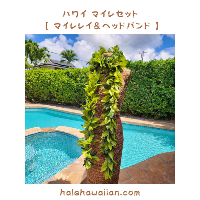 Hawaiian Hula Supplies Open Maile Long Lei [Maile Lei]