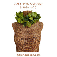 Hawaiian Hula Supplies Open Maile Long Lei [Maile Lei]