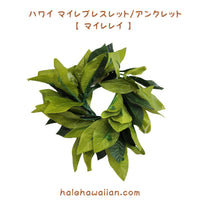 Hawaiian Hula Supplies Open Maile Long Lei [Maile Lei]