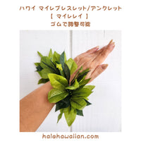 Hawaiian Hula Supplies Open Maile Long Lei [Maile Lei]