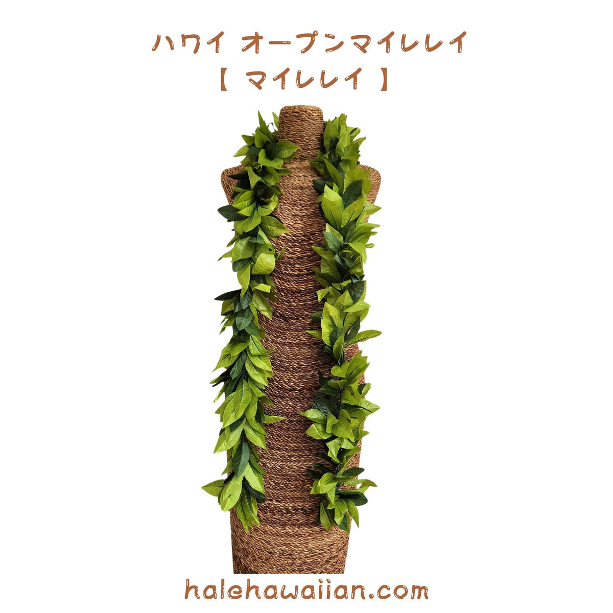 Hawaiian Hula Supplies Open Maile Long Lei [Maile Lei]