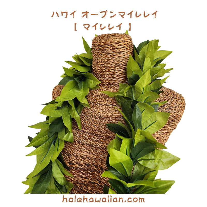 Hawaiian Hula Supplies Open Maile Long Lei [Maile Lei]