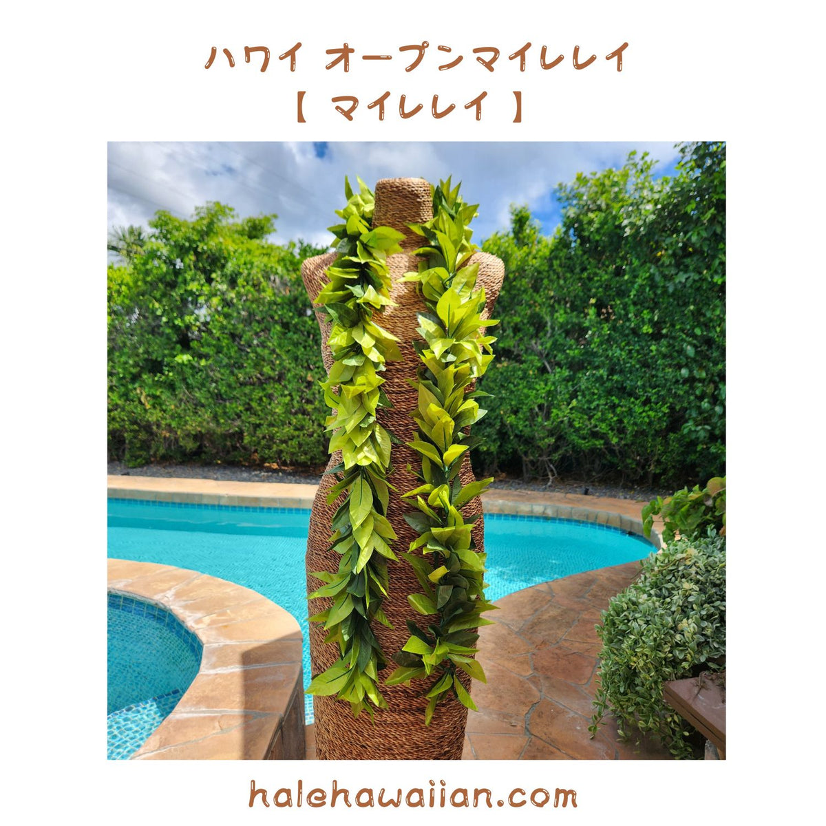 Hawaiian Hula Supplies Open Maile Long Lei [Maile Lei]