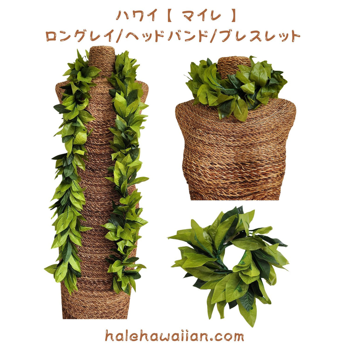 Hawaiian Hula Supplies Open Maile Long Lei [Maile Lei]