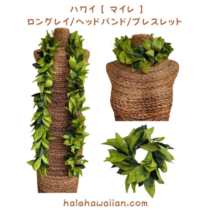 Hawaiian Hula Supplies Open Maile Long Lei [Maile Lei]