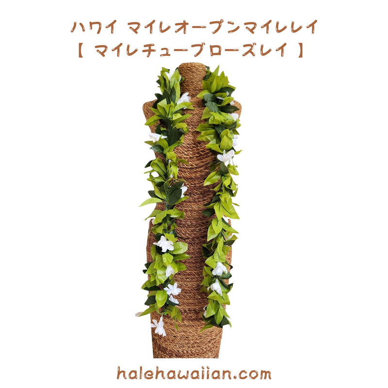 Hawaiian Hula Supplies Open Maile Long Lei [Maile Tuberose Lei]