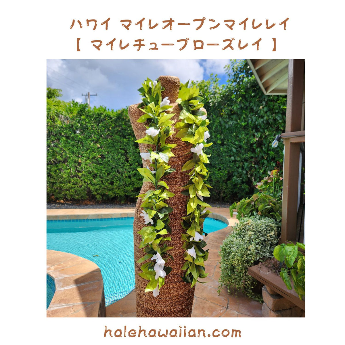 Hawaiian Hula Supplies Open Maile Long Lei [Maile Tuberose Lei]