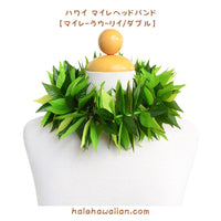 Hawaiian Hula Supplies Open Maile Long Lei [Maile Lau Lii]