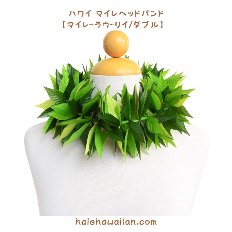 Hawaiian Hula Supplies Open Maile Long Lei [Maile Lau Lii]