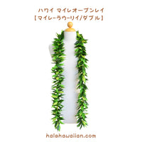 Hawaiian Hula Supplies Open Maile Long Lei [Maile Lau Lii]