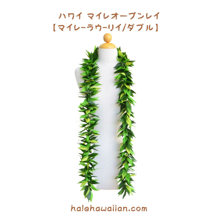 Hawaiian Hula Supplies Open Maile Long Lei [Maile Lau Lii]