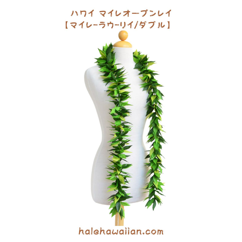 Hawaiian Hula Supplies Open Maile Long Lei [Maile Lau Lii]