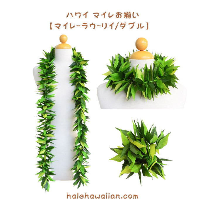 Hawaiian Hula Supplies Open Maile Long Lei [Maile Lau Lii]