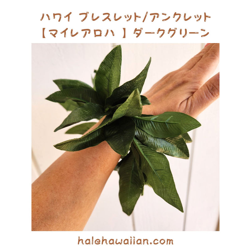 ハワイアン フラ用品 マイレブレスレット/アンクレット【ハワイアロハ】ダークグリーン