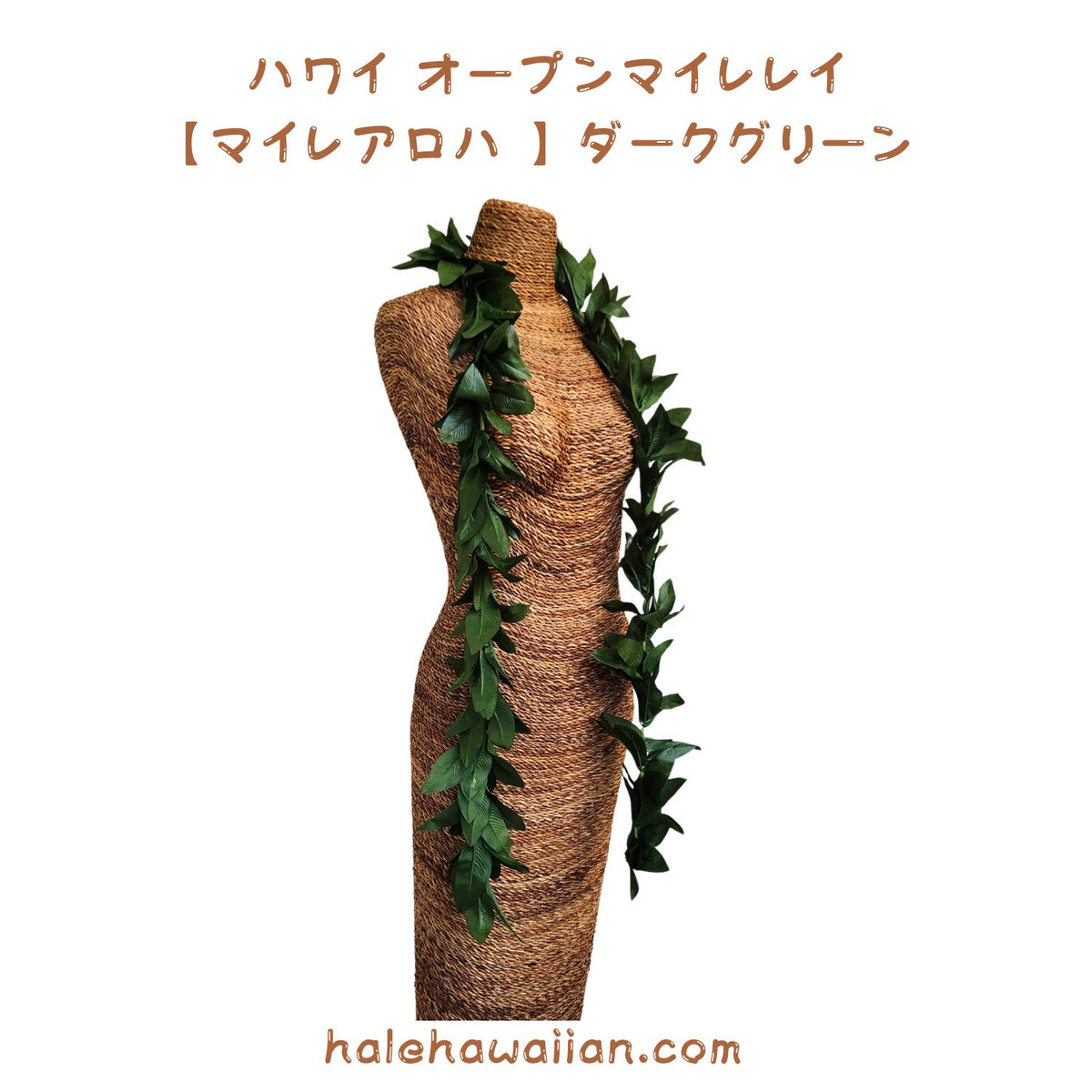 Hawaiian Hula Supplies Open Maile Lei (Long) [Maile Aloha] Dark Green