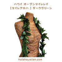 Hawaiian Hula Supplies Open Maile Lei (Long) [Maile Aloha] Dark Green