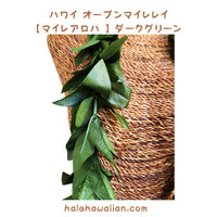 Hawaiian Hula Supplies Open Maile Lei (Long) [Maile Aloha] Dark Green