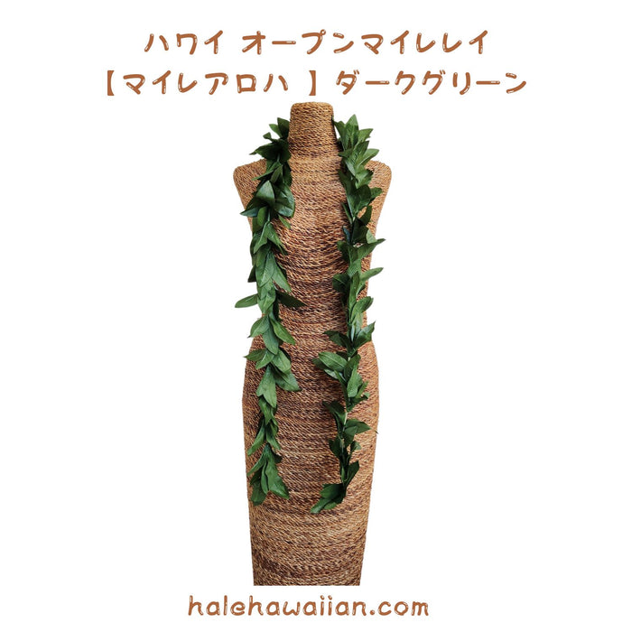 Hawaiian Hula Supplies Open Maile Lei (Long) [Maile Aloha] Dark Green