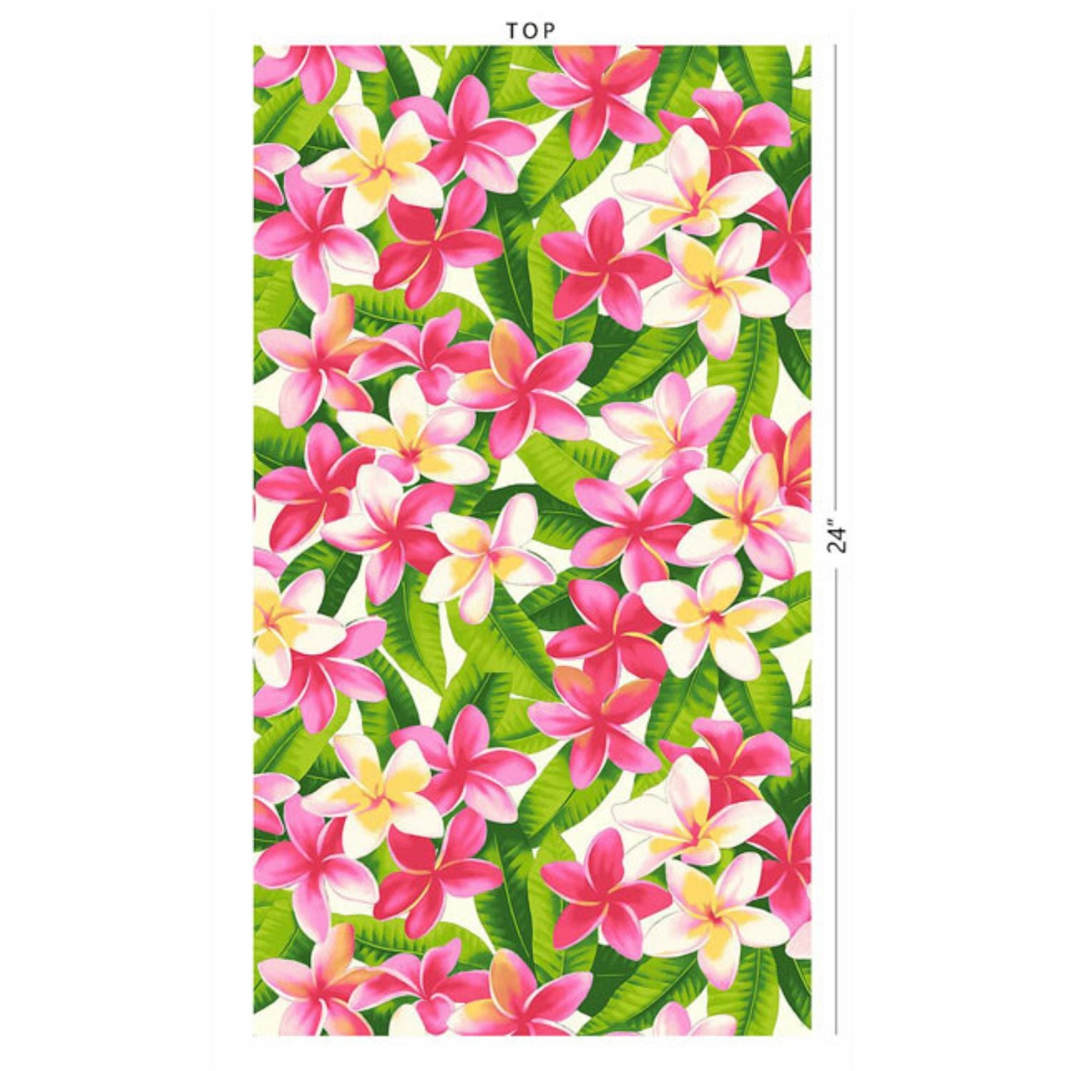 確認用プルメリアBali Marron Plumeria Collectors Festival 2024 苗木準備 | Puamele Garden
