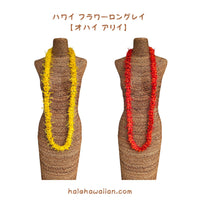 Hawaiian Hula Supplies Flower Lei (Long) [Ohialii]