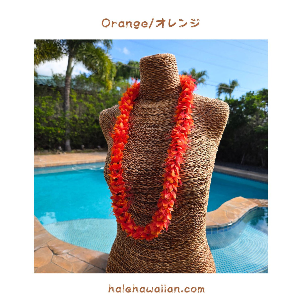 Hawaiian Hula Supplies Flower Lei [Ohialii]