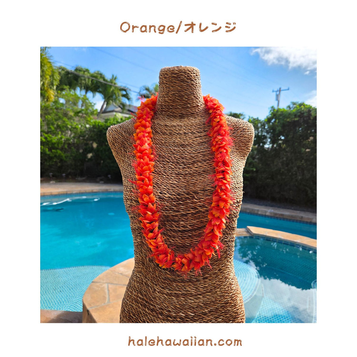 Hawaiian Hula Supplies Flower Lei [Ohialii]