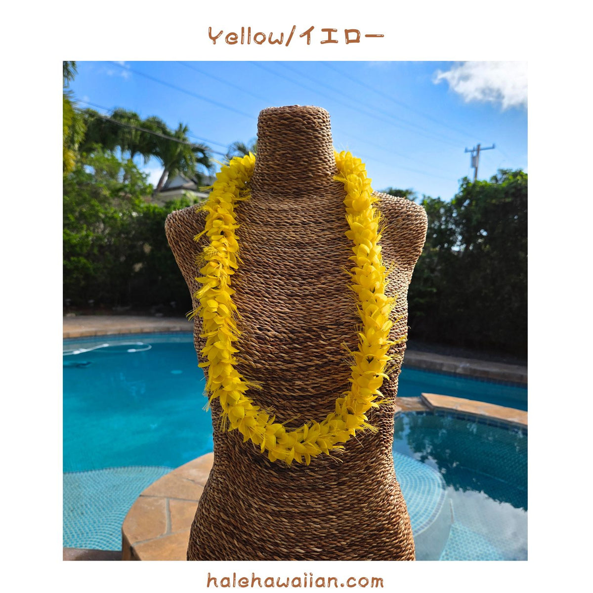 Hawaiian Hula Supplies Flower Lei [Ohialii]