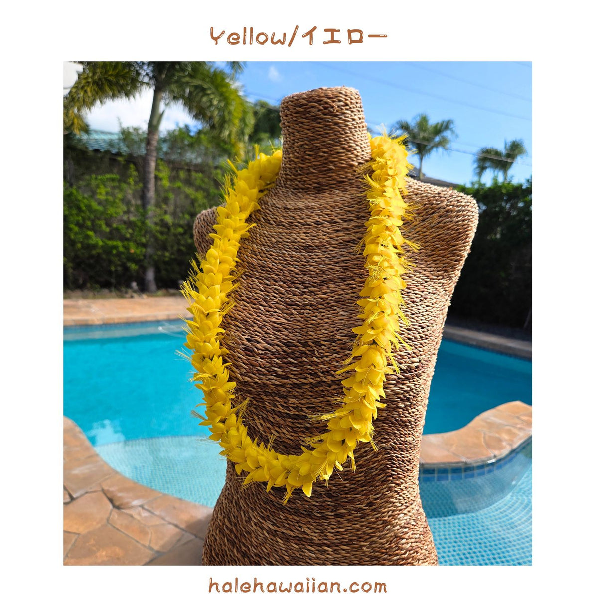 Hawaiian Hula Supplies Flower Lei [Ohialii]