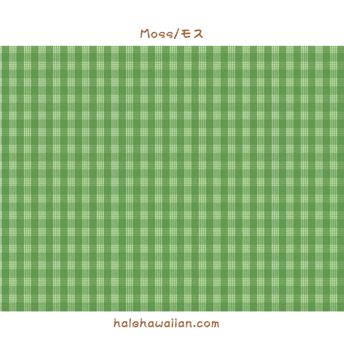 New colors in stock! Hawaii Hawaiian Fabric Yarn Dye (Woven) Cotton Fabric [ PALAKA / Palaka 2 Colors ]