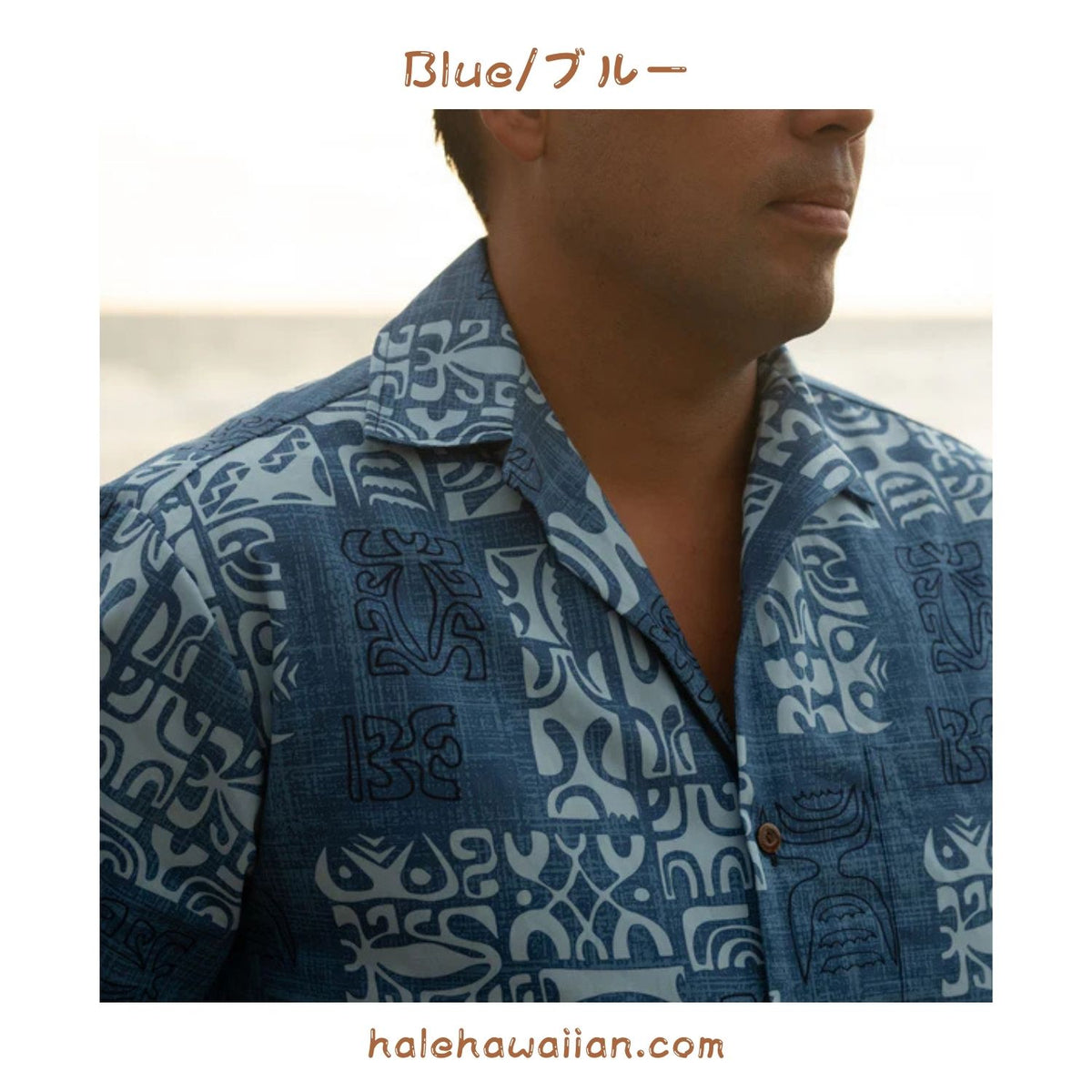 Hawaii Men's Aloha Shirt Cotton [Petro]