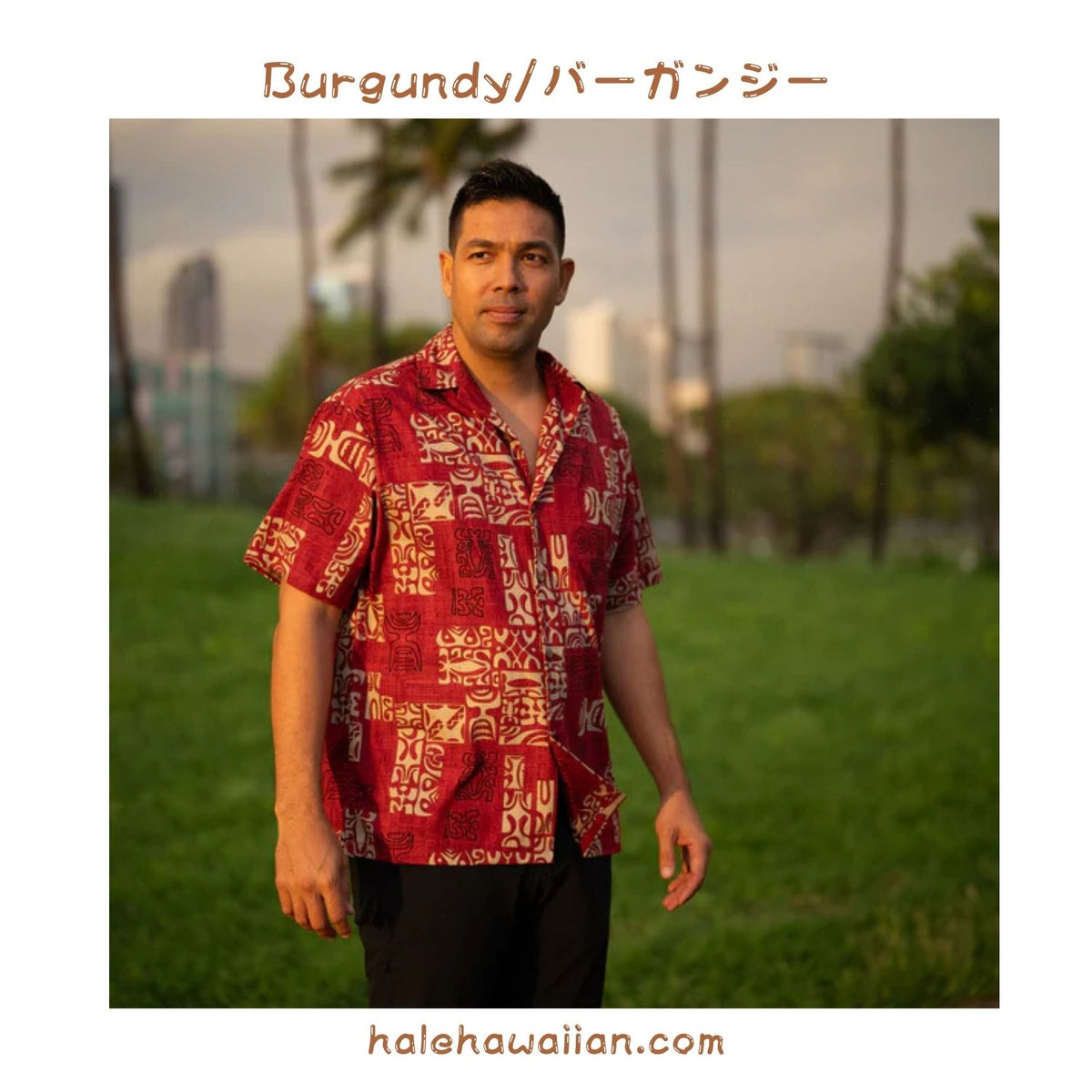 Hawaii Men's Aloha Shirt Cotton [Petro]