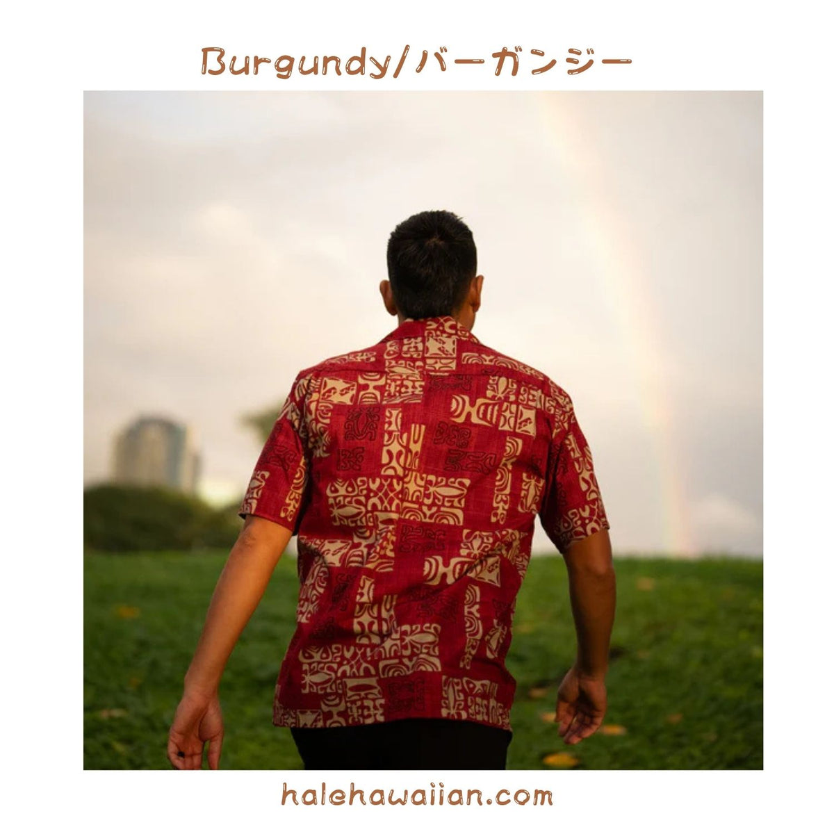 Hawaii Men's Aloha Shirt Cotton [Petro]