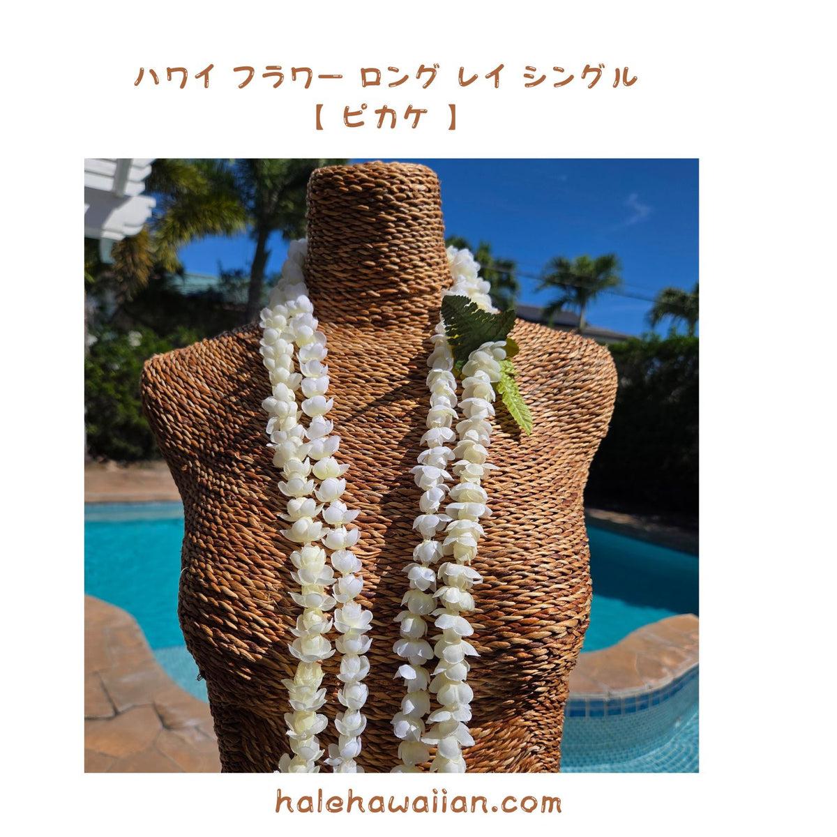 Hawaiian Hula Supplies Flower Lei (Long) [Pikake Single Lei]