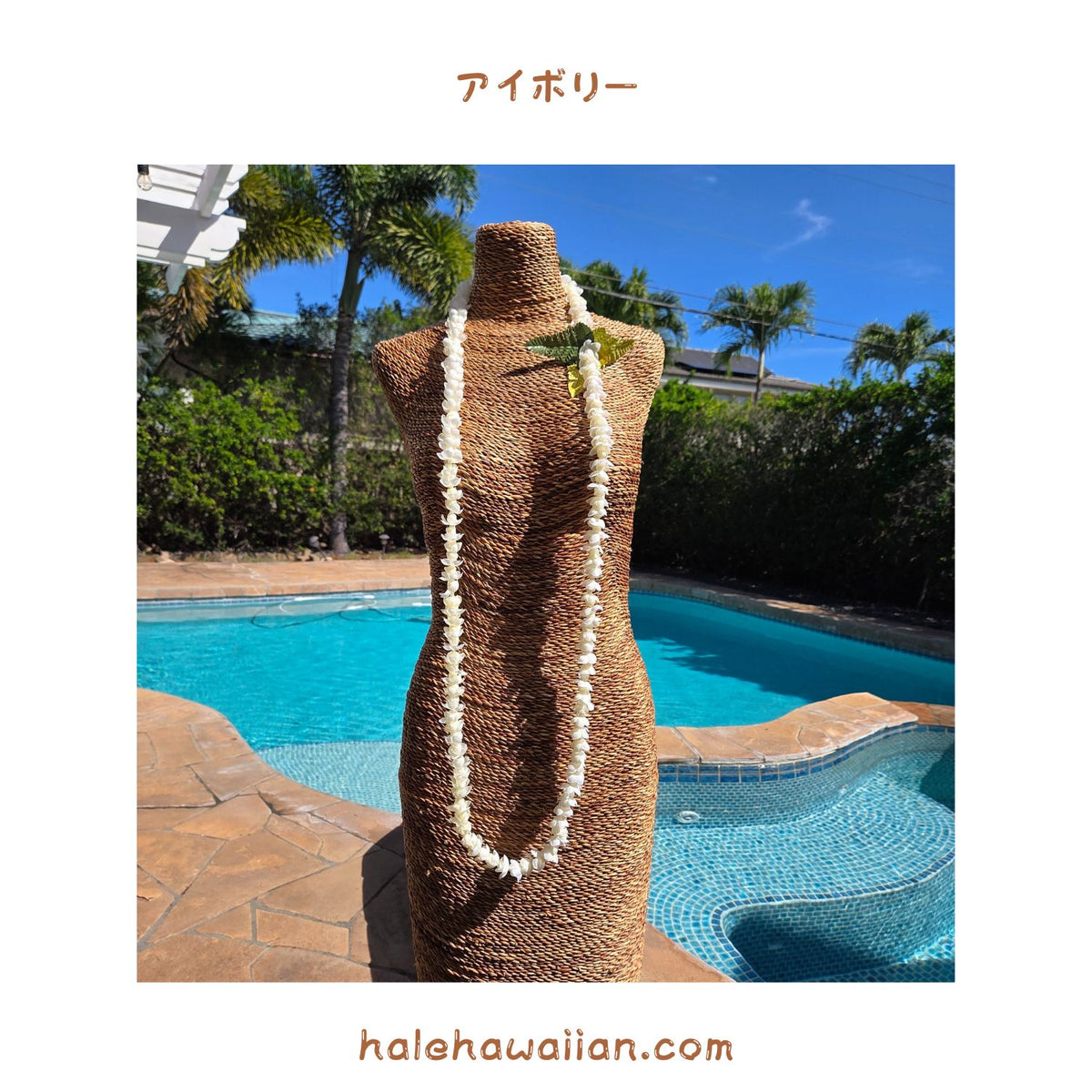 Hawaiian Hula Supplies Flower Lei (Long) [Pikake Single Lei]