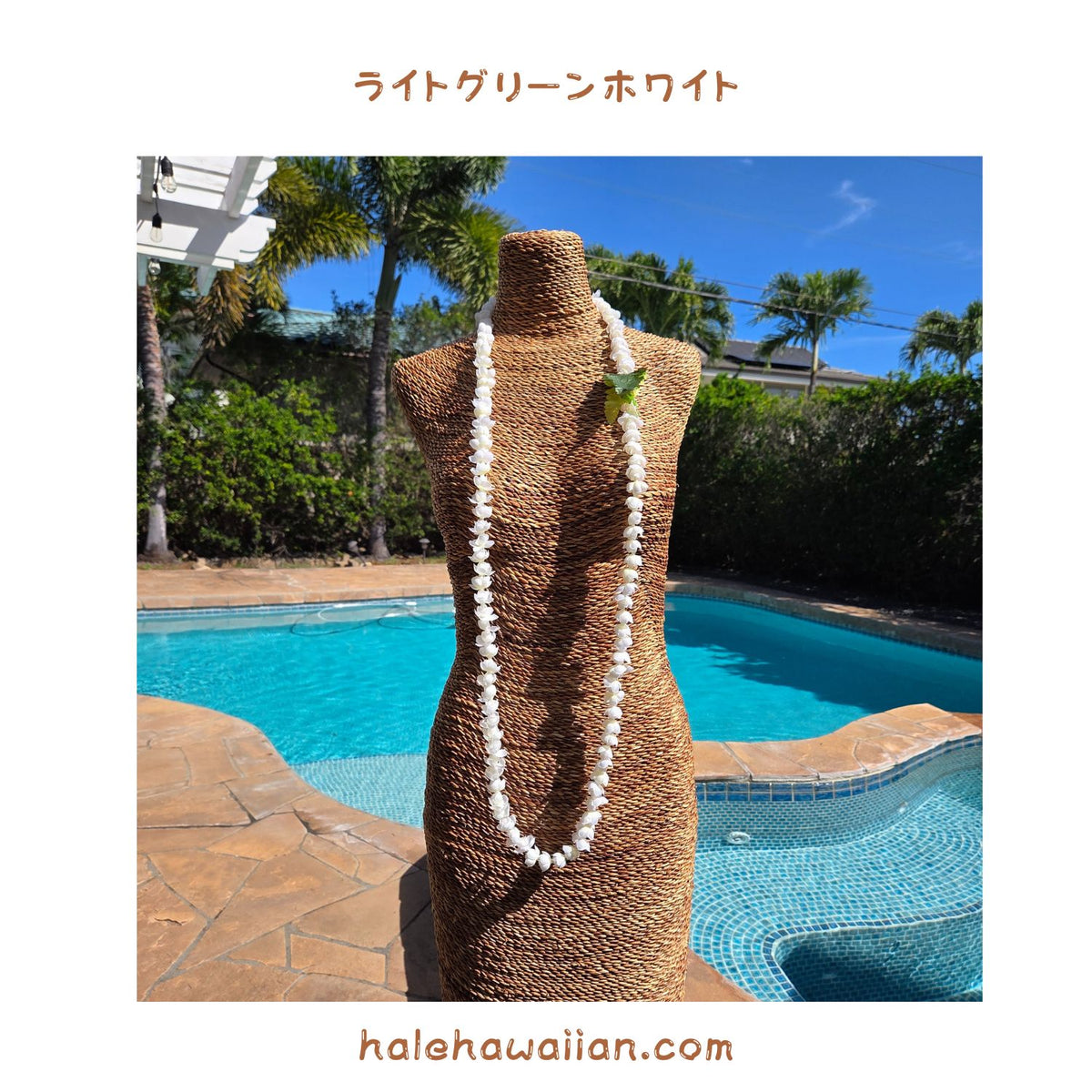 Hawaiian Hula Supplies Flower Lei (Long) [Pikake Single Lei]