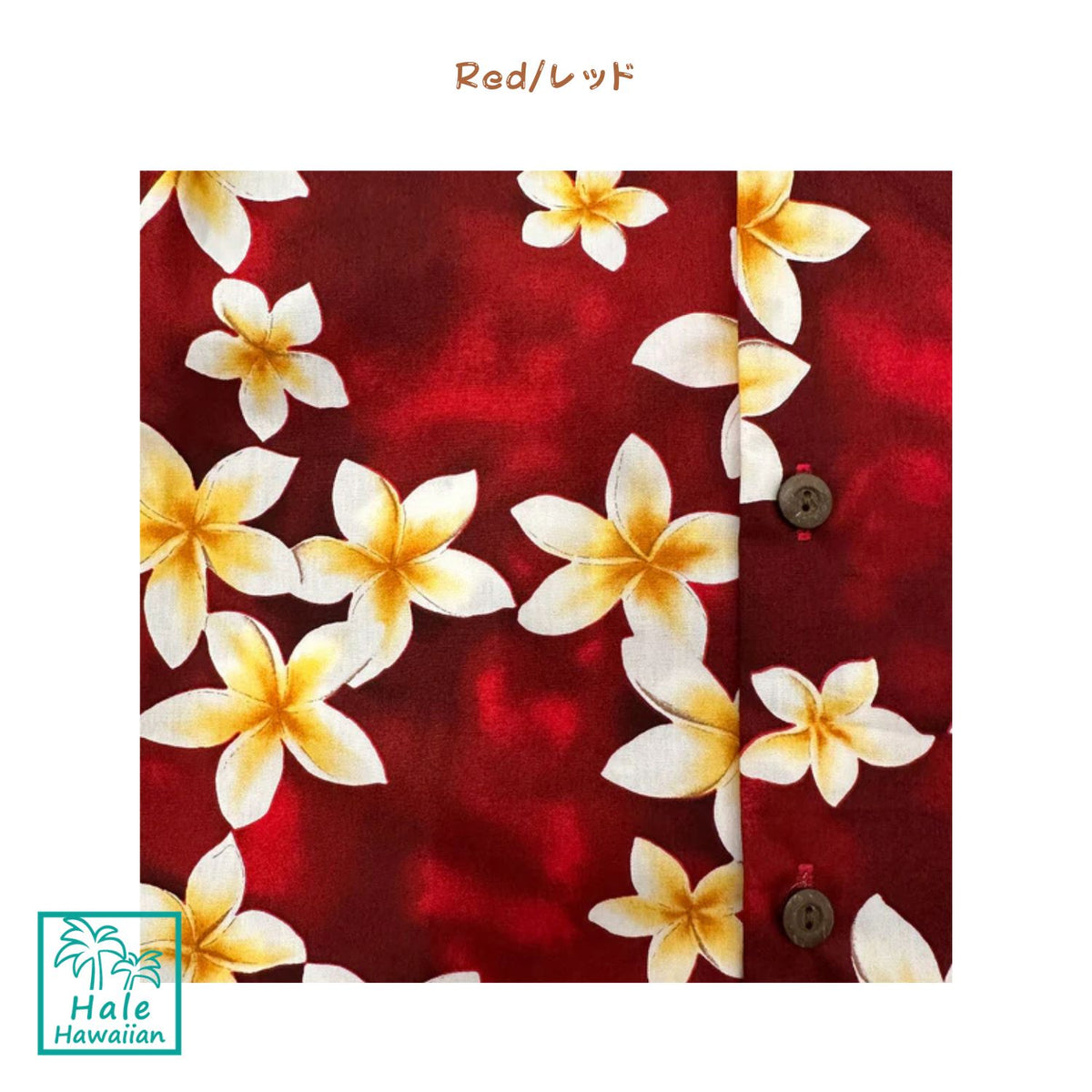 Hawaii Boys Cotton Aloha Cabana Set [Plumeria]