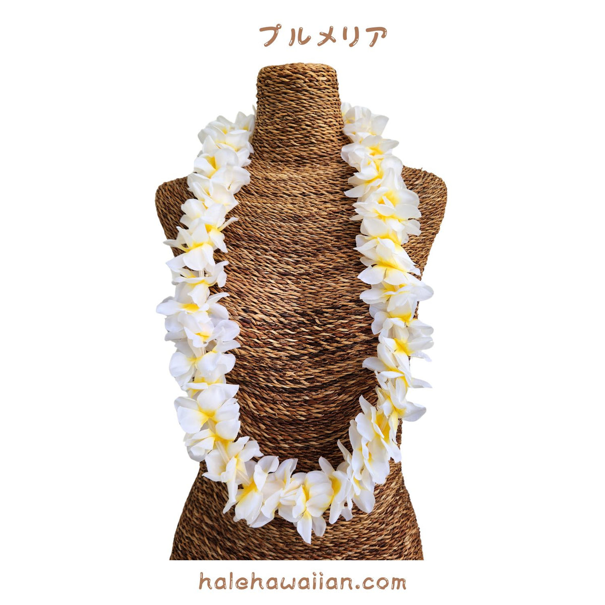 Hawaiian hula supplies flower lei [New Plumeria Puna]