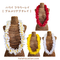 Hawaiian hula supplies flower lei [New Plumeria Puna]