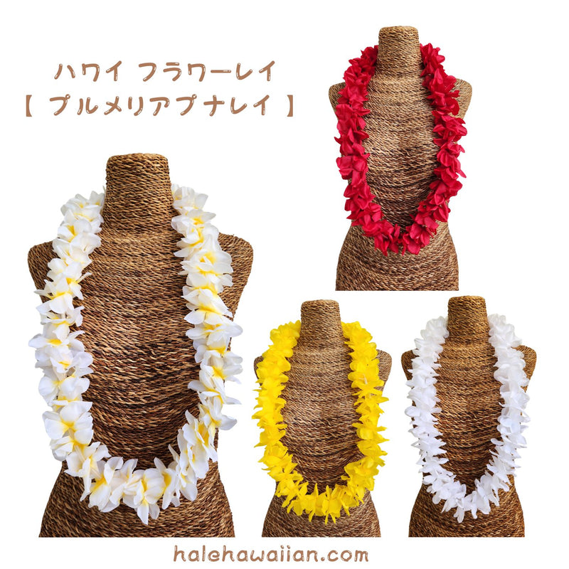 Hawaiian hula supplies flower lei [New Plumeria Puna]